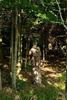 Spodnie Myśliwskie Nieszeleszczące Wild Trees Mil-tec Kamuflaż Leśny (11955050)